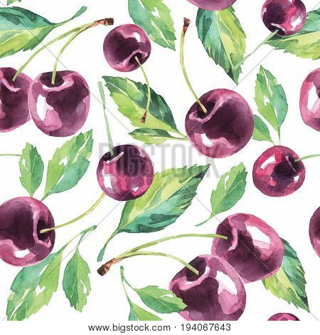 Hand painted cherry pattern. Watercolor vintage summer background. Original hand drawn illustration. Healthy food design. Bright tasty texture.