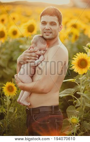 Dad with a bare torso hold his naked babygirl in his arms on the field of sunflowers.