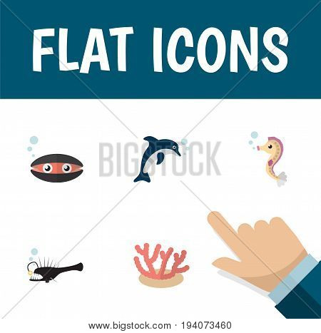 Flat Icon Sea Set Of Scallop, Algae, Hippocampus And Other Vector Objects. Also Includes Seaweed, Coral, Dolphin Elements.