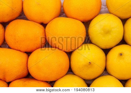 Many fresh raw orange. Oranges displaes in farm market