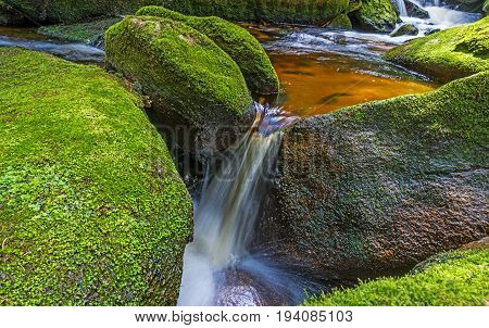 brook in forest (Jelení potok Sumava Czech republic Europe)