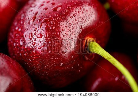 Cherries Background. Isolated Cherries. Cherry Fruits Isolated On White Background With Clipping Pat
