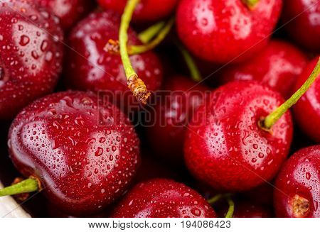 Cherries Background. Isolated Cherries. Cherry Fruits Isolated On White Background With Clipping Pat