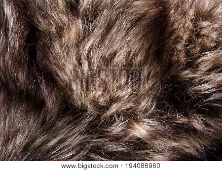 Texture Of Fur. Red Brown Grey Wolf, Fox, Bear Fur Natural, Animal Wildlife Concept And Style For Ba