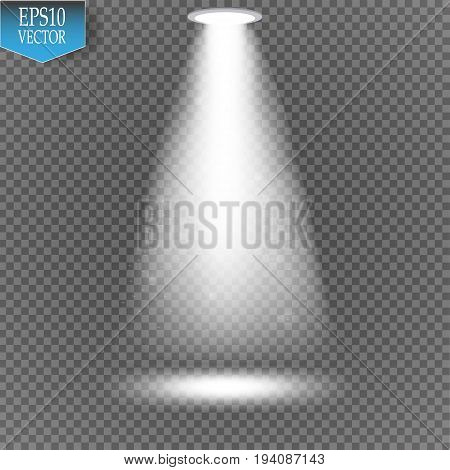 Vector spotlight on transparent background.Light effect. Magic concept