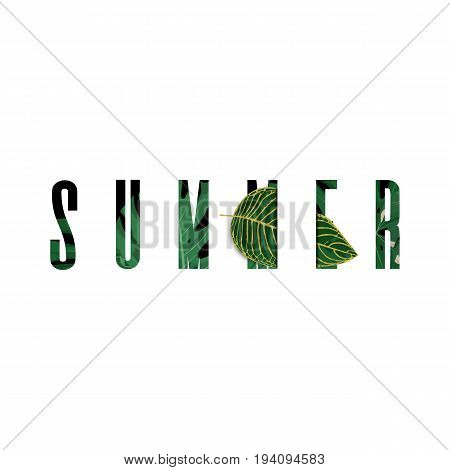Stylized summer text with tropical floral leaves elements.