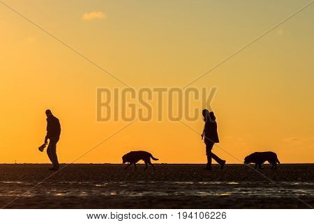 Kijkduin beach The Hague the Netherlands - 17 April 2016: couple walking their dogs on the beach at sunset
