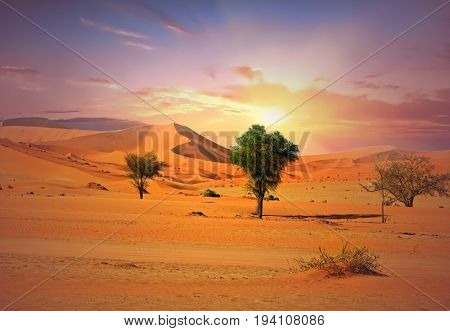 Namibi Naukluft National Park at sunrise with a beautiful hazy sky against golden sand dunes