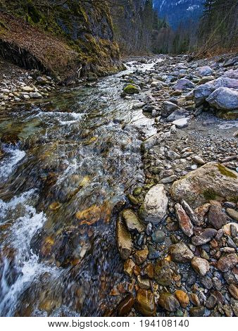 river in Alps - National park Kalkalpen