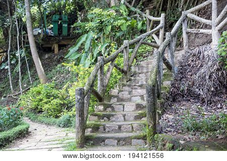 Bamboo pedestrian suspension bridge across the river in the rainforest
