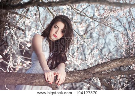 Sensual young woman standing in white dress at blossoming tree in the garden. Beauty of woman and nature consept. Portrait of beautiful model with curly brown hair posing and looking at camera.