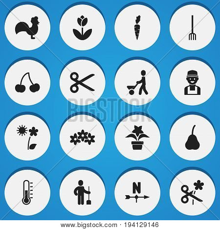 Set Of 16 Editable Agriculture Icons. Includes Symbols Such As Root Vegetable, Beauty Flower, Temperature And More. Can Be Used For Web, Mobile, UI And Infographic Design.