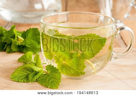 Melissa Tea - Hot Water Poured Over Fresh Melissa Leaves