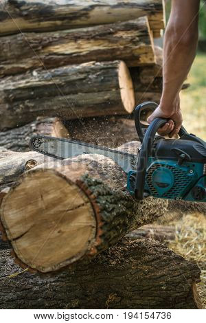 Man Chopping Wood With A Chainsaw