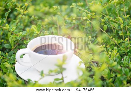 White cup of hot coffee with white plate on the plant green nature background. shallow focus