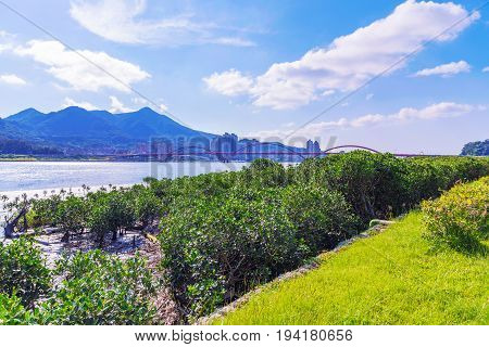 Scenic view of riverside park nature on a sunny day in Taipei