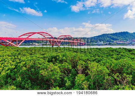 Scenic view of Guandu bridge on a sunny day in taipei