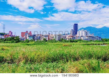 Fields and city view on a sunny day in Taipei