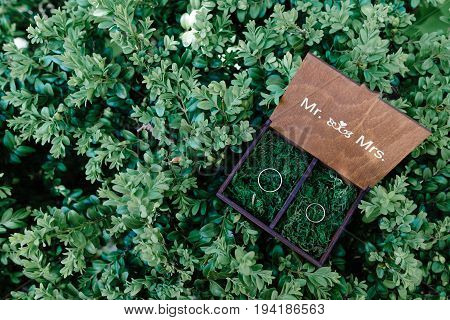 Wedding Rings In A Wooden Box Filled With Moss On The Green Grass