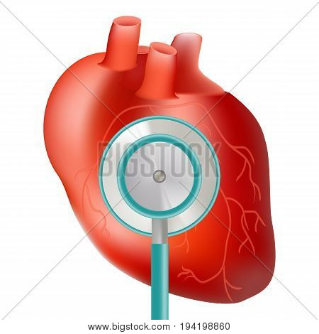 Healthy Heart With Stethoscope Use For Heart Medical Topic Isolated On A White Background. Realistic Vector Illustration. Medicine.