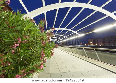 Promenade at the Guadalentin river in Lorca illuminated at night. Province of Murcia southern Spain