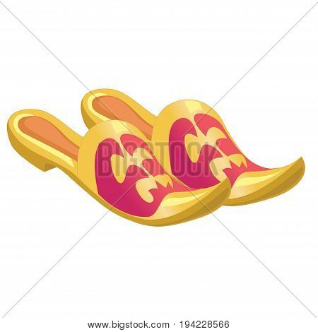 Vector home shoes with sharp noses isolated on a white background. Vector