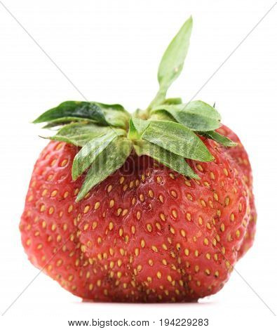 Imperfect organic heirloom home grown strawberry isolated on white