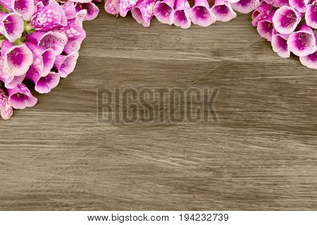Wooden background with beautiful purple flowers Foxglove