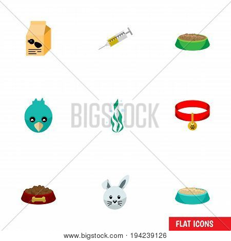 Flat Icon Animal Set Of Vaccine, Bunny, Feeding And Other Vector Objects. Also Includes Plant, Box, Sparrow Elements.