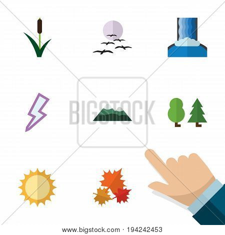 Flat Icon Natural Set Of Cattail, Lightning, Gull And Other Vector Objects. Also Includes Leaf, Tree, Pinnacle Elements.