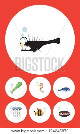 Flat Icon Nature Set Of Cachalot, Scallop, Medusa And Other Vector Objects. Also Includes Melanocetus, Whale, Hippocampus Elements.