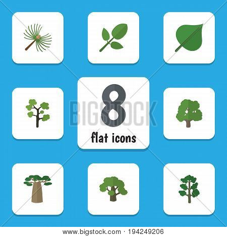 Flat Icon Nature Set Of Hickory, Decoration Tree, Baobab And Other Vector Objects. Also Includes Leaf, Spruce, Park Elements.