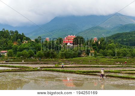 Peasants Farmers Work In Fields Flooded With Water In The Foothills. Rice Field And Asian Architectu