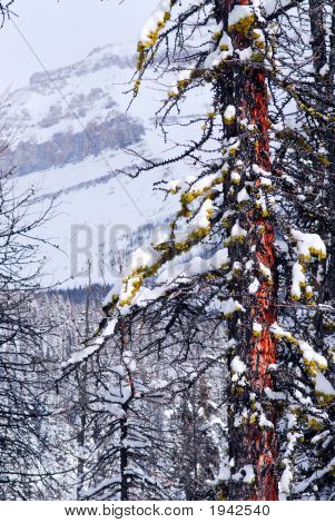 Berglandschaft