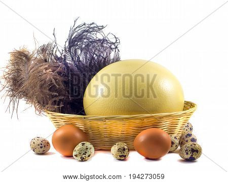 Big ostrich eggs and small chicken eggs in the basket