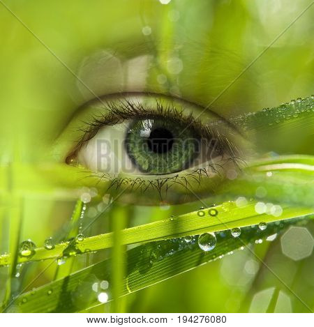a green energy - an ecological concet