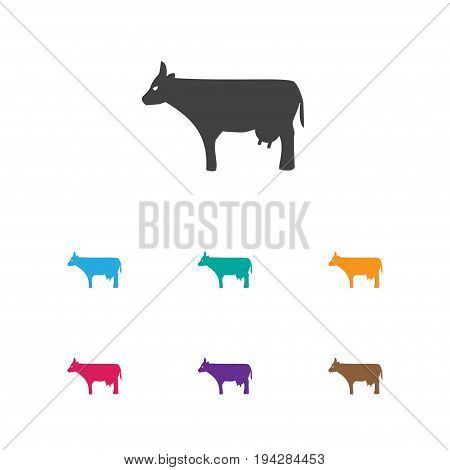 Vector Illustration Of Zoology Symbol On Cow Icon. Premium Quality Isolated Kine Element In Trendy Flat Style.