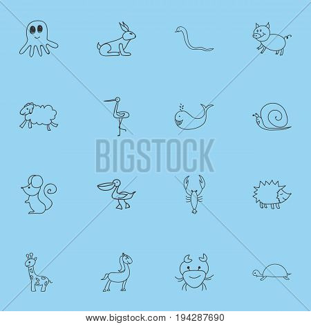 Set Of 16 Editable Animal Icons. Includes Symbols Such As Ewe, Swine, Cachalot And More. Can Be Used For Web, Mobile, UI And Infographic Design.