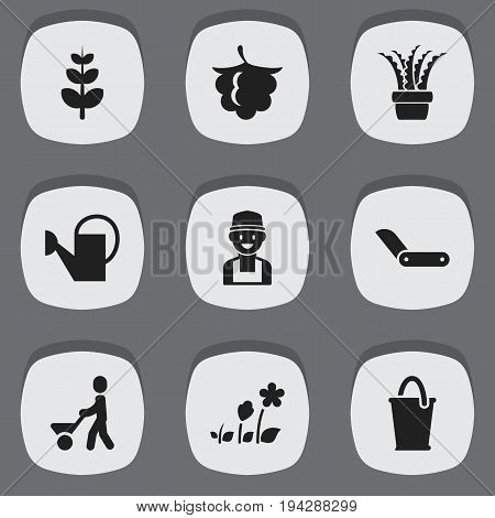Set Of 9 Editable Agriculture Icons. Includes Symbols Such As Man With Trolley, Bucket, Vera And More. Can Be Used For Web, Mobile, UI And Infographic Design.