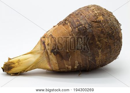 Taro food on white background Taro root raw isolated