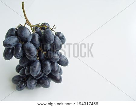 black grapes fruit in white background closeup