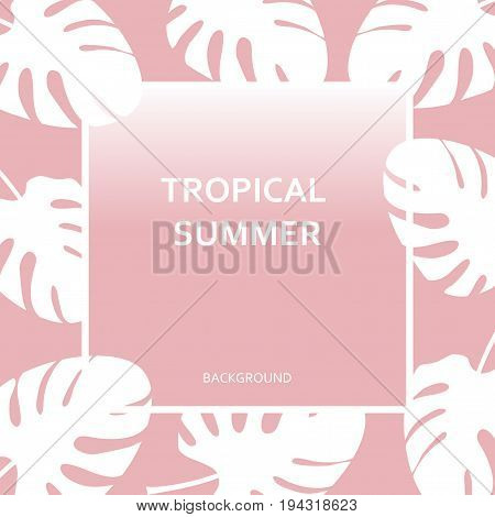 Tropical Background Whith Text Tropical Summer On Pink Background Of Palm Monstera Leaves. Modern An