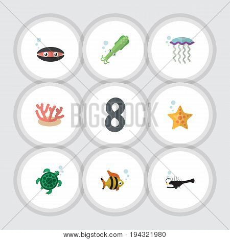 Flat Icon Marine Set Of Seafood, Scallop, Medusa And Other Vector Objects. Also Includes Sea, Octopus, Seashell Elements.