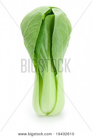 Krásné Bok choy (čínské zelí nebo Qing geng cai) izolované na bílém.