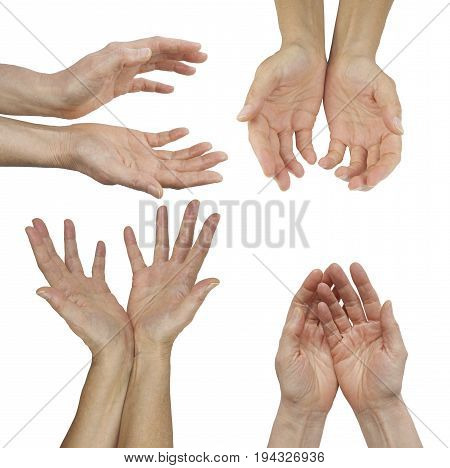 The Hands of an Energy Healing Practitioner - female hands in four different cupped position isolated on a  background