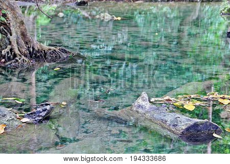 Clean And Clear Natural Water