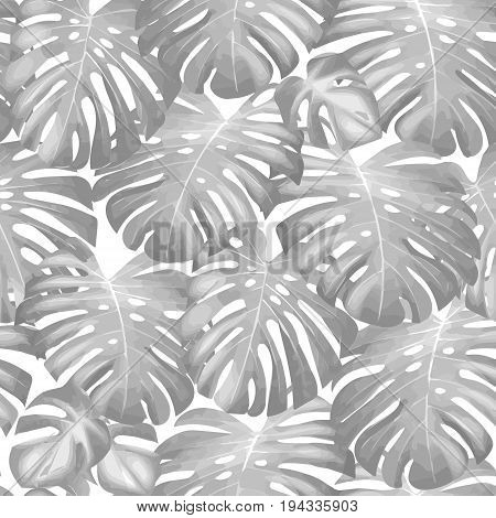 Seamless vector tropical pattern with green monstera palm leaves on dark background. Exotic hawaiian fabric design. One color print.