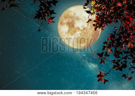 Beautiful autumn fantasy - maple tree in fall season and full moon with milky way star in night skies background. Retro style artwork with vintage color tone
