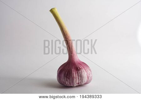 Fresh young garlic isolated on white background