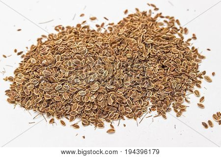 Dill seeds. Dried fennel isolated on white background.